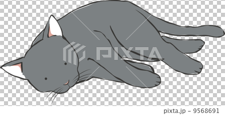 Sleeping black cat - Stock Illustration [9568691] - PIXTA