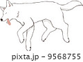 苦しそうに倒れる白犬 9568755