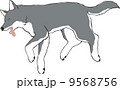 苦しそうに倒れる黒犬 9568756