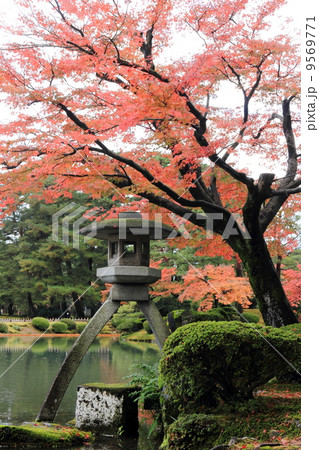 秋の兼六園(徽軫灯籠) 秋の兼六園(徽軫灯籠) 9569771