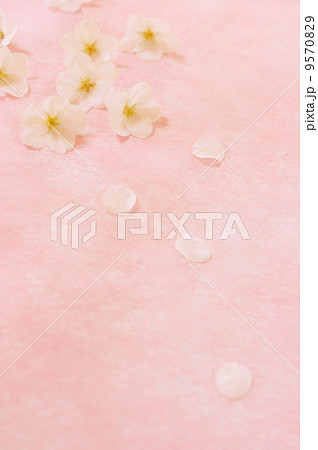 桜 9570829