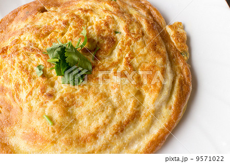 台湾料理～菜脯蛋～ 9571022