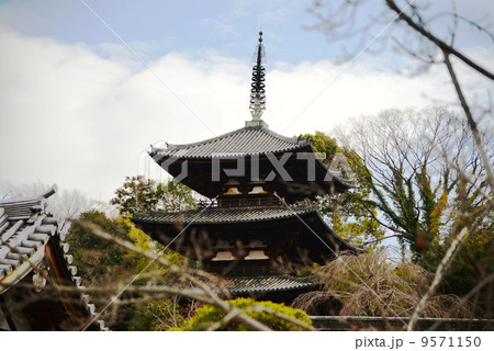 国宝　當麻寺　東塔 9571150
