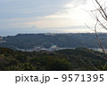 垂水千本いちょうから望む開聞岳 9571395