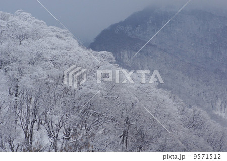 山間積雪 山間積雪 9571512
