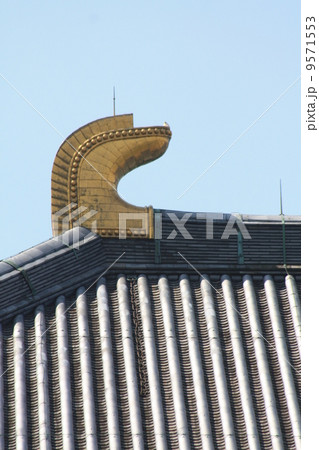 東大寺大仏殿 東大寺大仏殿 9571553