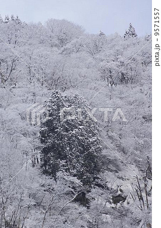 冬山 冬山 9571557