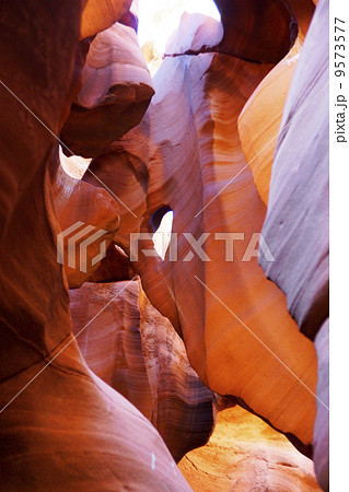 アンテロープバレー アンテロープバレー 9573577