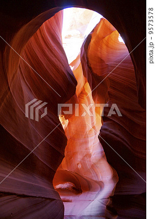 アンテロープバレー アンテロープバレー 9573578