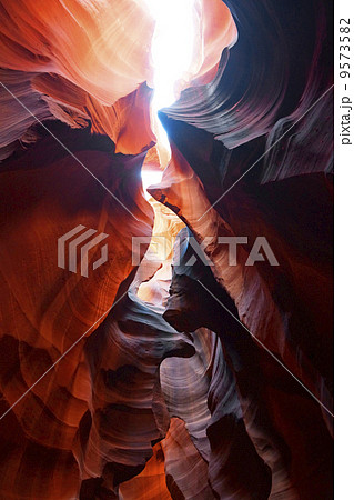 アンテロープバレー アンテロープバレー 9573582