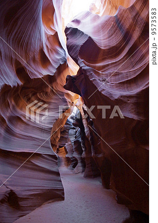 アンテロープバレー アンテロープバレー 9573583