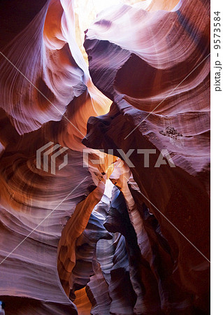 アンテロープバレー アンテロープバレー 9573584