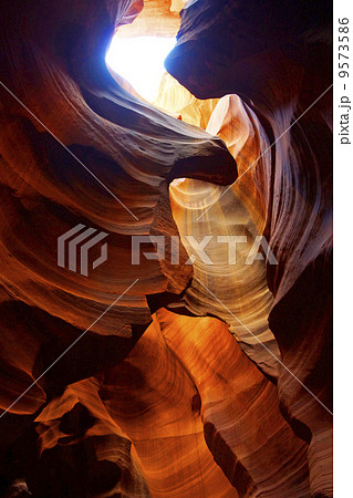 アンテロープバレー アンテロープバレー 9573586