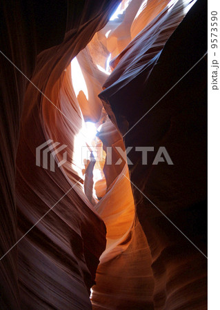 アンテロープバレー アンテロープバレー 9573590