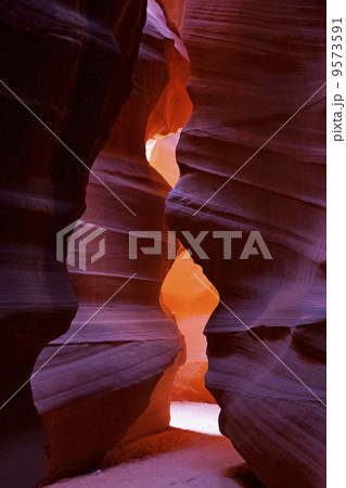 アンテロープバレー アンテロープバレー 9573591