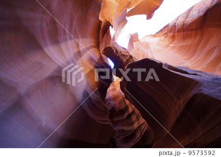 アンテロープバレー アンテロープバレー 9573592