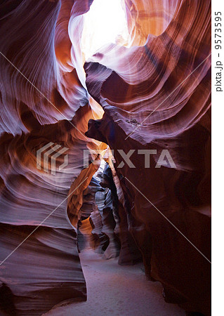 アンテロープバレー アンテロープバレー 9573595