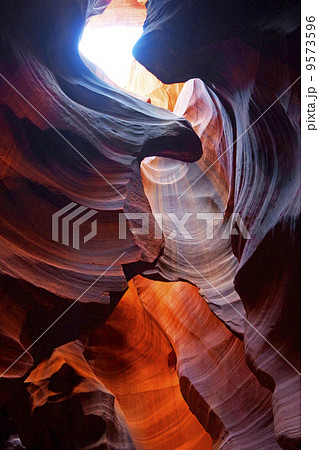 アンテロープバレー アンテロープバレー 9573596