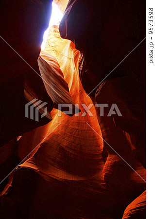 アンテロープバレー アンテロープバレー 9573598