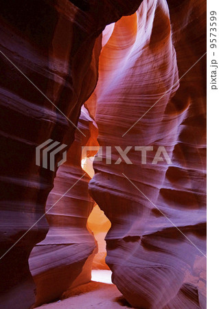 アンテロープバレー アンテロープバレー 9573599