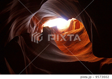 アンテロープバレー アンテロープバレー 9573602