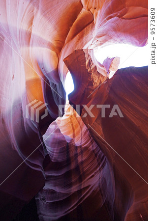 アンテロープバレー アンテロープバレー 9573609