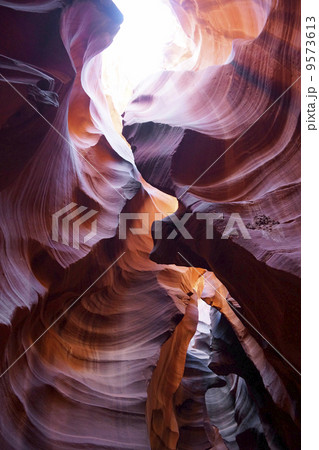 アンテロープバレー アンテロープバレー 9573613