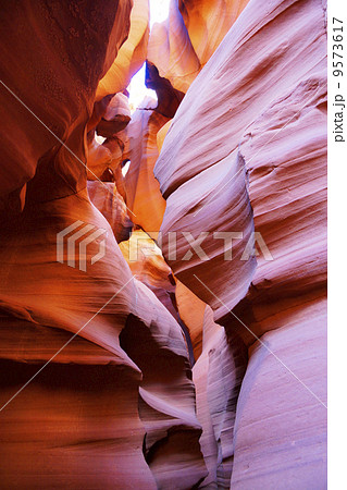 アンテロープバレー アンテロープバレー 9573617