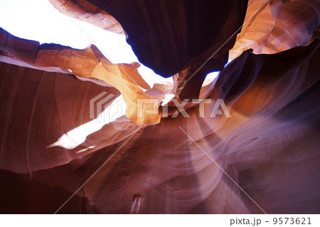 アンテロープバレー アンテロープバレー 9573621