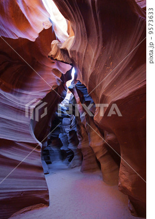 アンテロープバレー アンテロープバレー 9573633