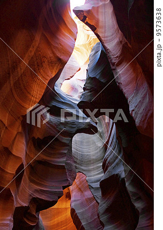 アンテロープバレー アンテロープバレー 9573638