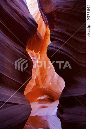 アンテロープバレー アンテロープバレー 9573644