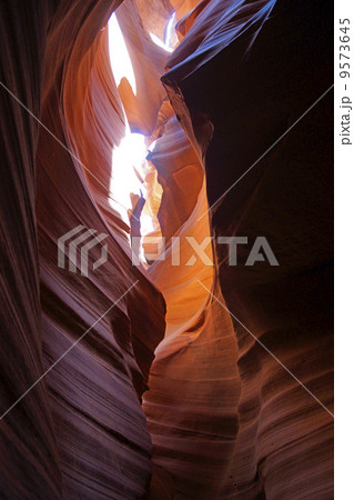 アンテロープバレー アンテロープバレー 9573645