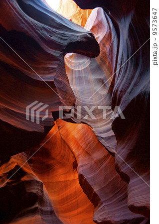 アンテロープバレー アンテロープバレー 9573647