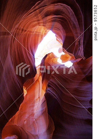 アンテロープバレー アンテロープバレー 9573652