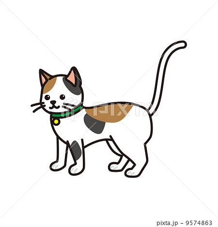 三毛猫 三毛猫 9574863