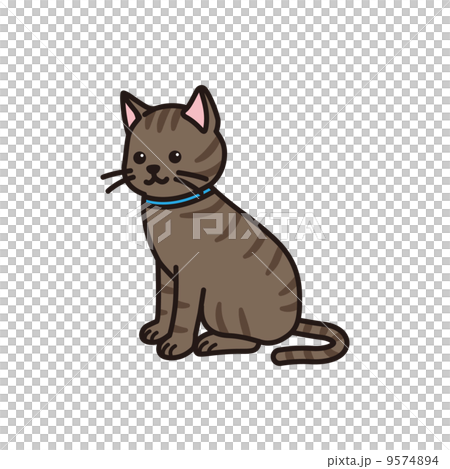 野雞貓 野雞貓 9574894