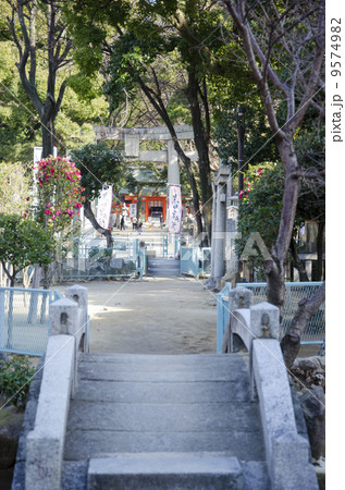 住吉神社の天津神社石橋 9574982