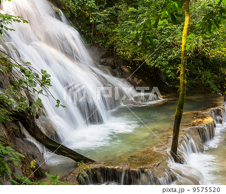 Waterfall in Mexico 9575520