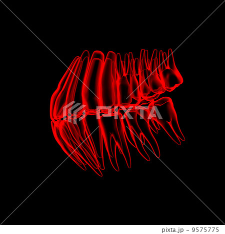 3d human red teeth - side view 9575775