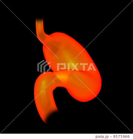 3d rendered illustration of the stomach 3d rendered illustration of the stomach 9575966
