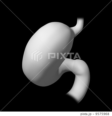 3d rendered illustration of the stomach 9575968