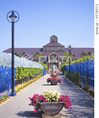 山形　高畠ワイナリー 9576013