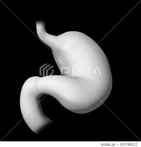 3d rendered illustration of the stomach 3d rendered illustration of the stomach 9576022