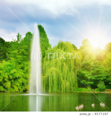 large fountain in the lake sunlit large fountain in the lake sunlit 9577197