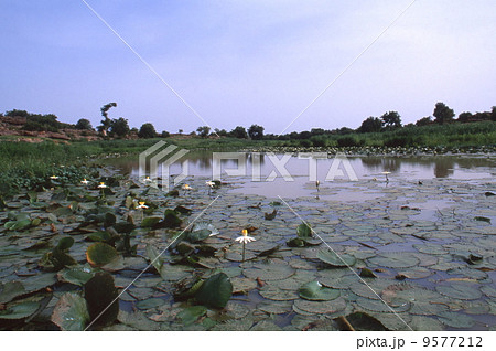 バンディアガラの断崖を流れる河川 9577212