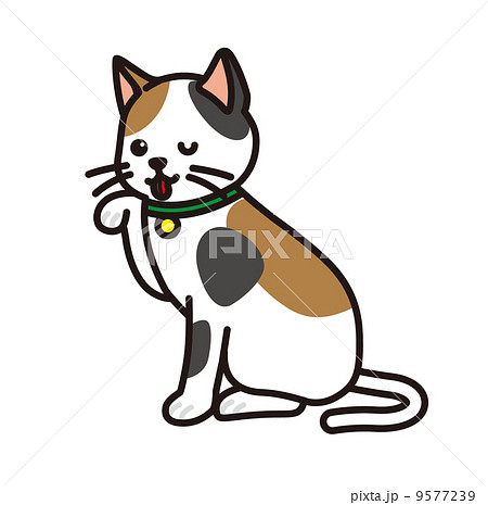 毛づくろい 9577239