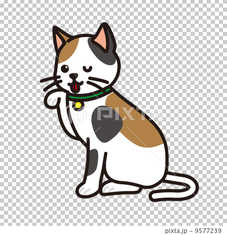 毛づくろい 9577239