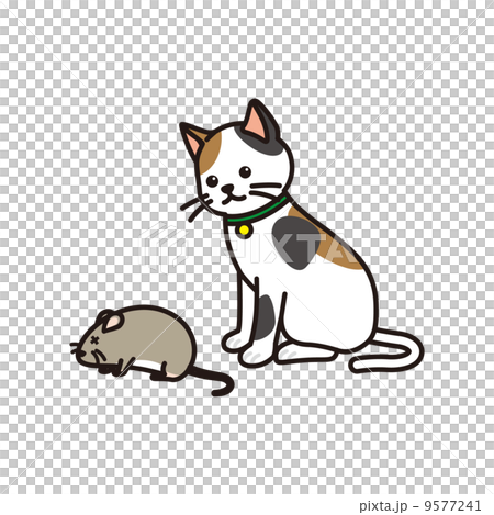 ネズミと猫 ネズミと猫 9577241