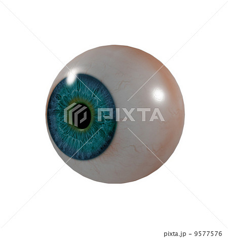 3d render Eye Ball - side view 9577576